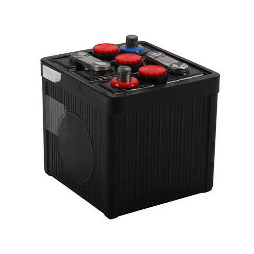     
                
                
    Batterie 6 V - 66 Ah Vintage (vide) - VC37104
