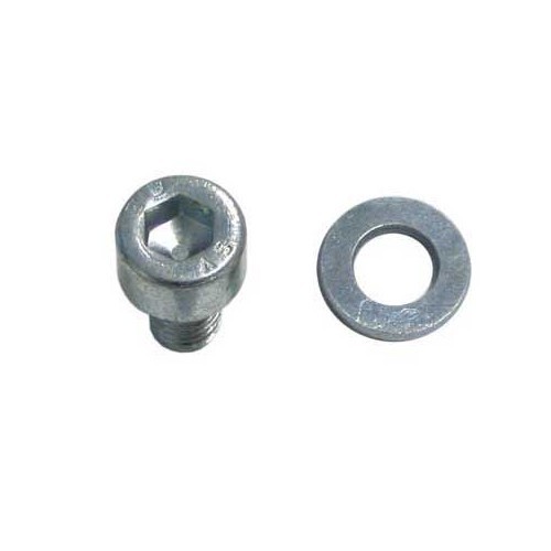  BTR screws and washers for mounting Beetle engine plates  - VC60604 