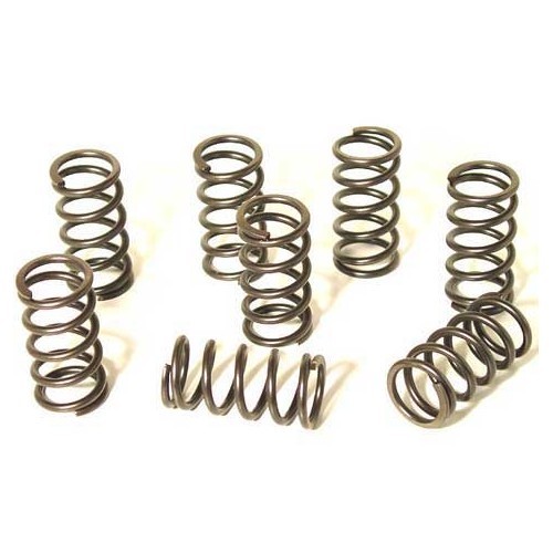     
                
                
    Reinforced single valve springs for Volkswagen Beetle and Combi - 8 pieces - VD22501

