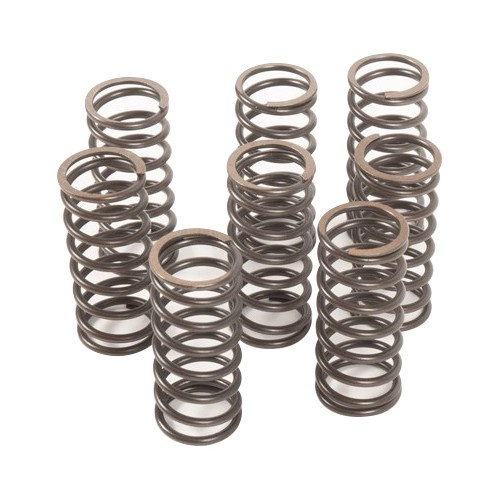     
                
                
    Inner valve springs for OKRASA preparation moulded foot motors - set of 8 - VD22506
