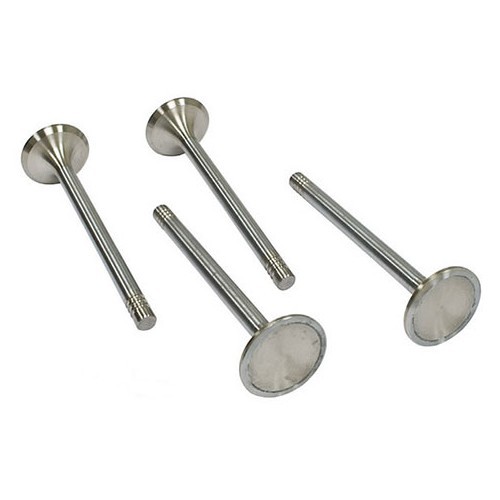     
                
                
    Set of 4 stainless steel 37.5 mm valves with an 8 mm tail - VD22816
