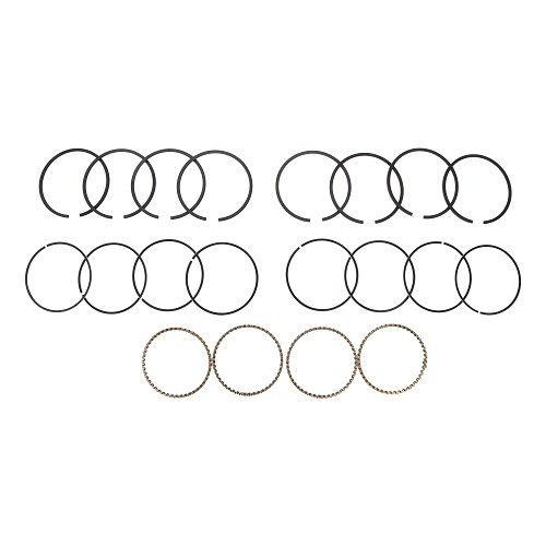     
                
                
    Segments 77 mm - 2 / 2 / 4 mm pour moteur 1200 / 1300 - VD51502
