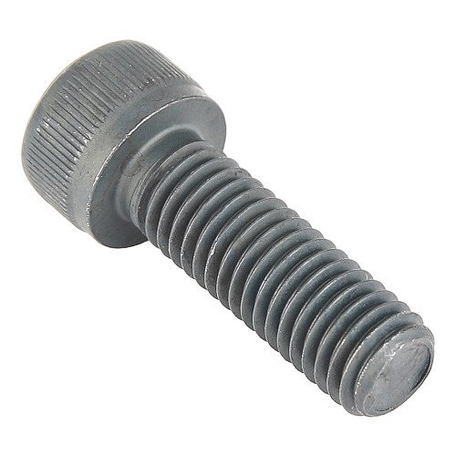 Bremssattelschraube für VOLKSWAGEN Käfer, 181, Karmann Ghia, Typ 3, Buggy (08/1966-) - VH28001