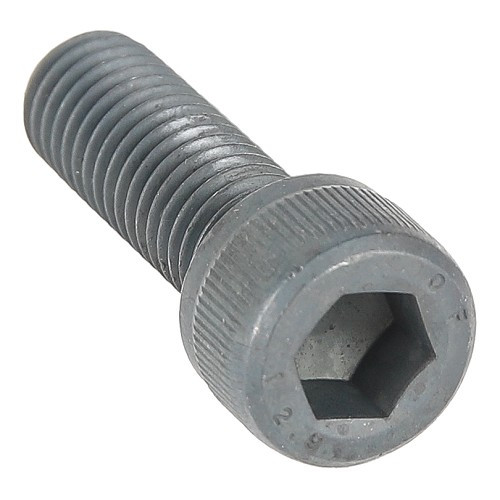     
                
                
    Vis d'étrier de frein pour VOLKSWAGEN Coccinelle, 181, Karmann Ghia, Type 3, Buggy (08/1966-) - VH28001
