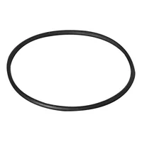 Selo OR 4312 para Bi Pot Fiamma