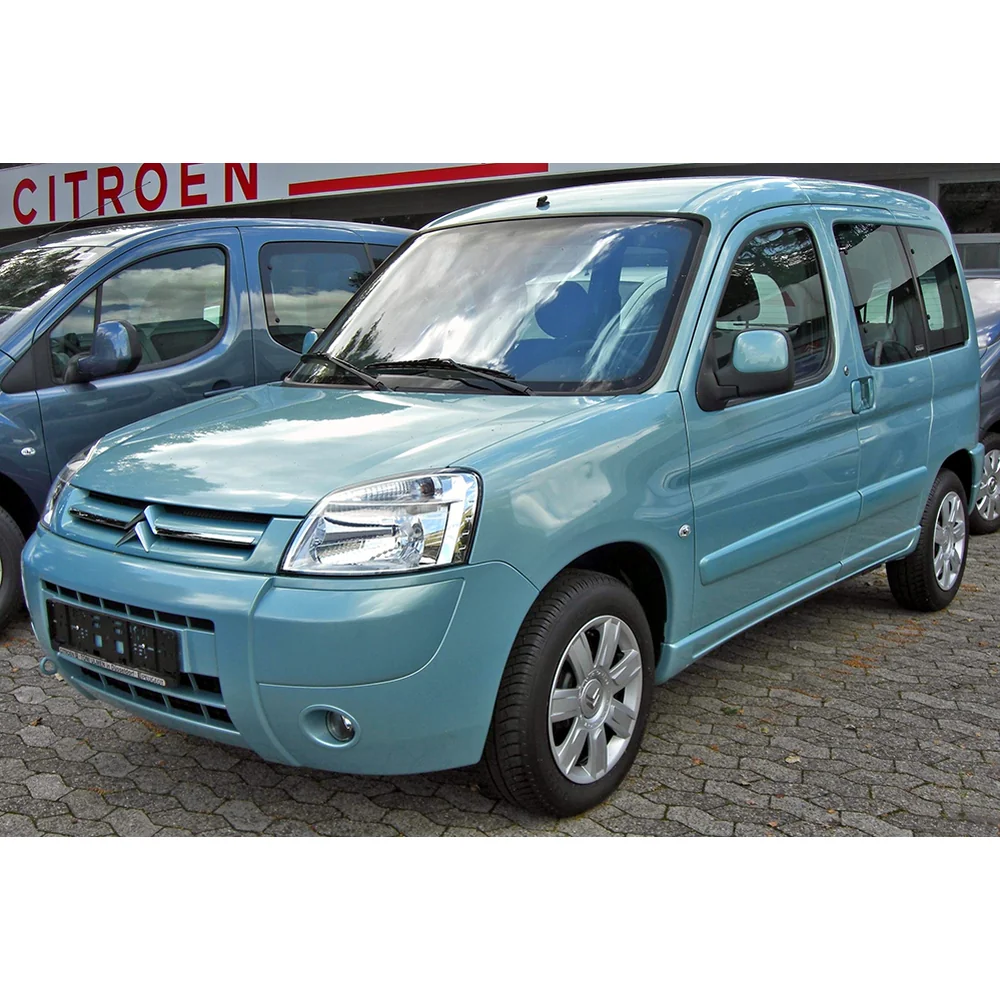 Vorhänge 2 Fenster für doppelte Hintertüren Peugeot PARTNER I vor 04/2008